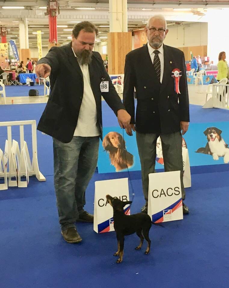 Wisp Fire In Bullsden - Tara au Championnat de France 2018